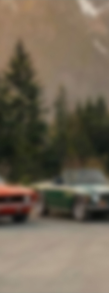 banner image